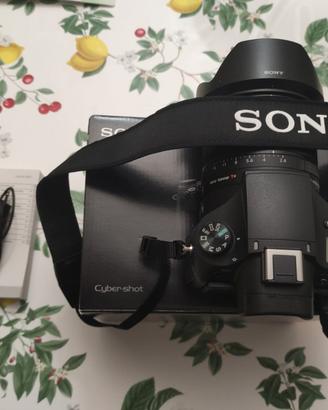 Sony rx10 iii 