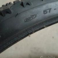coppia copertoni mtb
