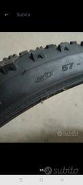 coppia copertoni mtb