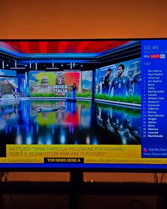 TV SONY 55' COME NUOVO  