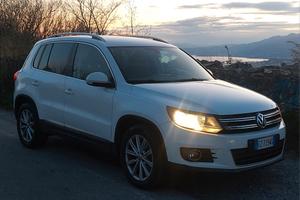 tiguan 2.0 tdi euro 6B