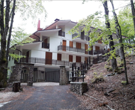 Monte livata