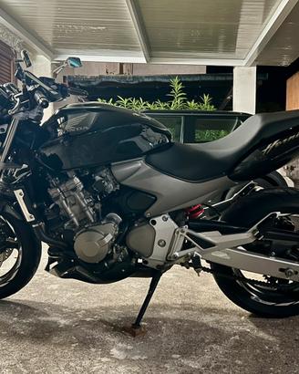 Hornet 600