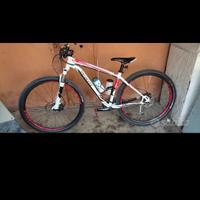 MTB  specialized  29 