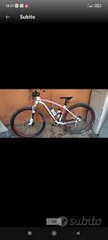 MTB  specialized  29 