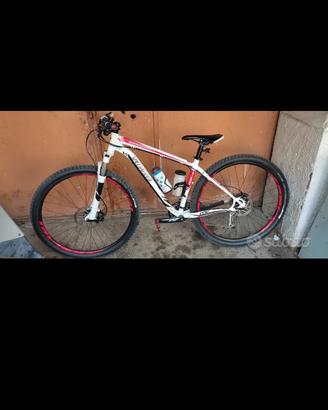 MTB  specialized  29 