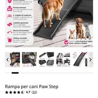 Rampa cane
