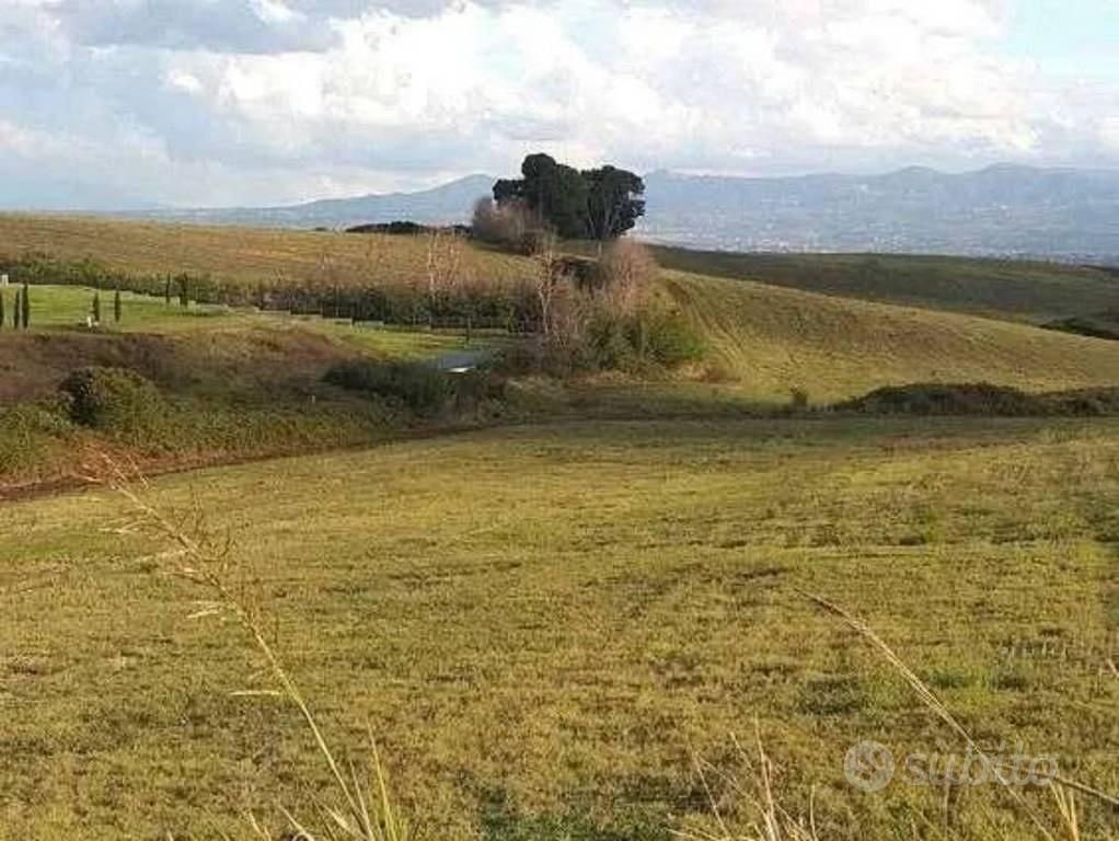 Immobile in asta di 281311 m² a Guidonia Monteceli - Vista 2