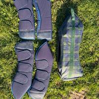 Set 4 paratendini da trasporto cavallo con borsa