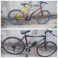 Mountain bike + bicicletta da strada