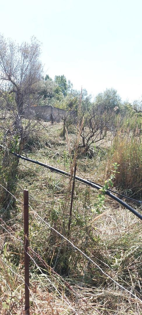 Terreno in Contrada Giardinaccio - Vista 3