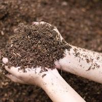 stallatico concime per orto bio 
