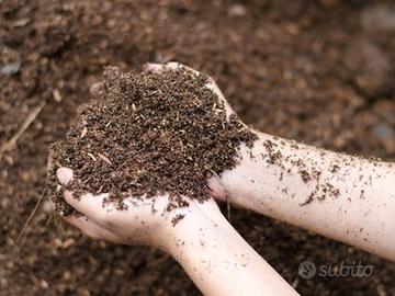 stallatico concime per orto bio 