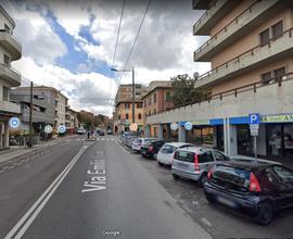 Negozio Bologna [24/SVCG]