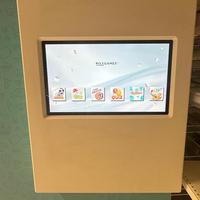 Videogioco interattivo da parete