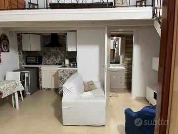 Monolocale a volta a stella con soppalco