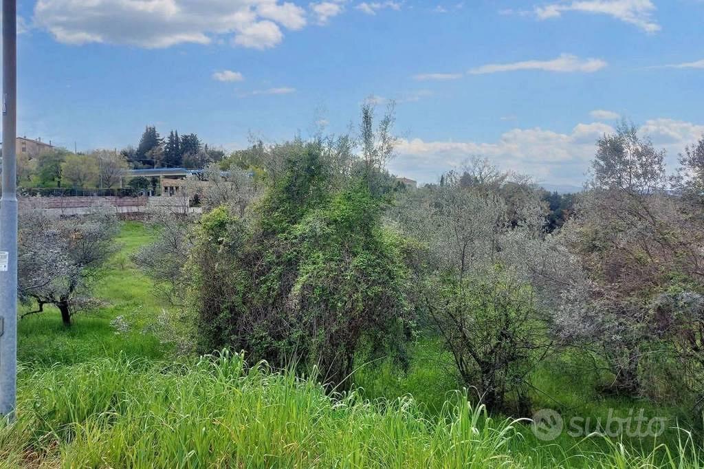 Immobile in asta di 5701 m² a Montefalco - Vista 2