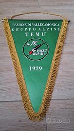 gagliardetto sez. di Vallecamonica  gruppo 