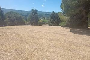 Terreno di 6820 m² a Sutri
