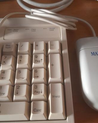 Mouse Classic Desktop Ottico PS2
