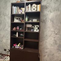 Libreria moderna in legno scuro con ante