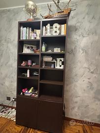 Libreria moderna in legno scuro con ante