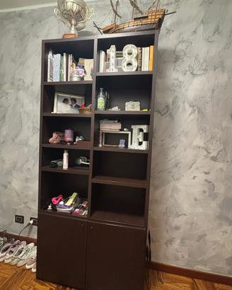 Libreria moderna in legno scuro con ante