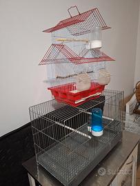 gabbie canarini cocoriti 