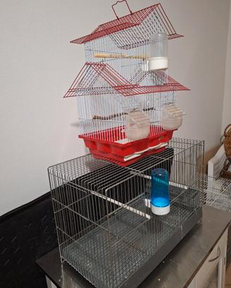 gabbie canarini cocoriti 