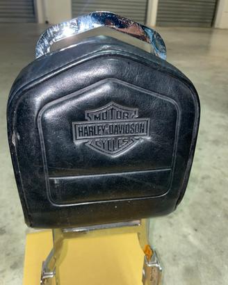 Sissy bar harley