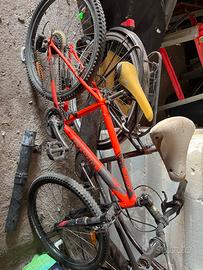 Bicicletta ragazzo