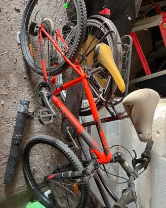 Bicicletta ragazzo