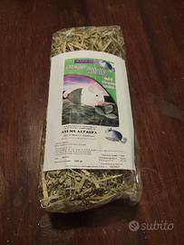 steli di erba Medica defogliata nuovo