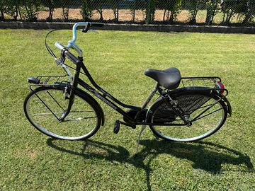 Bicicletta da passeggio