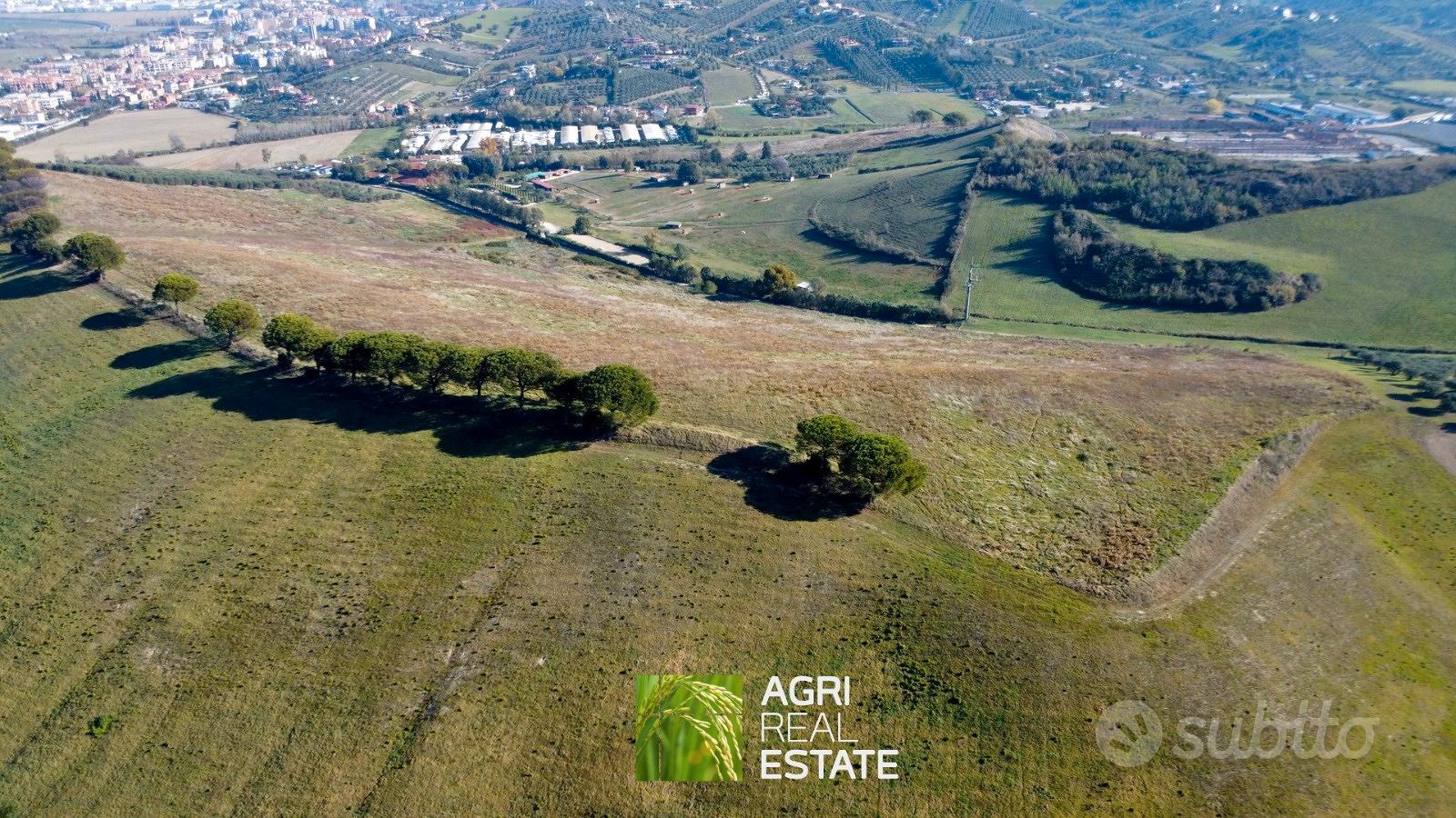 Terreno agricolo collinare di 10 ettari - Vista 5