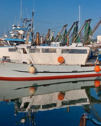 Barca da Pesca con Licenza - Peschereccio 