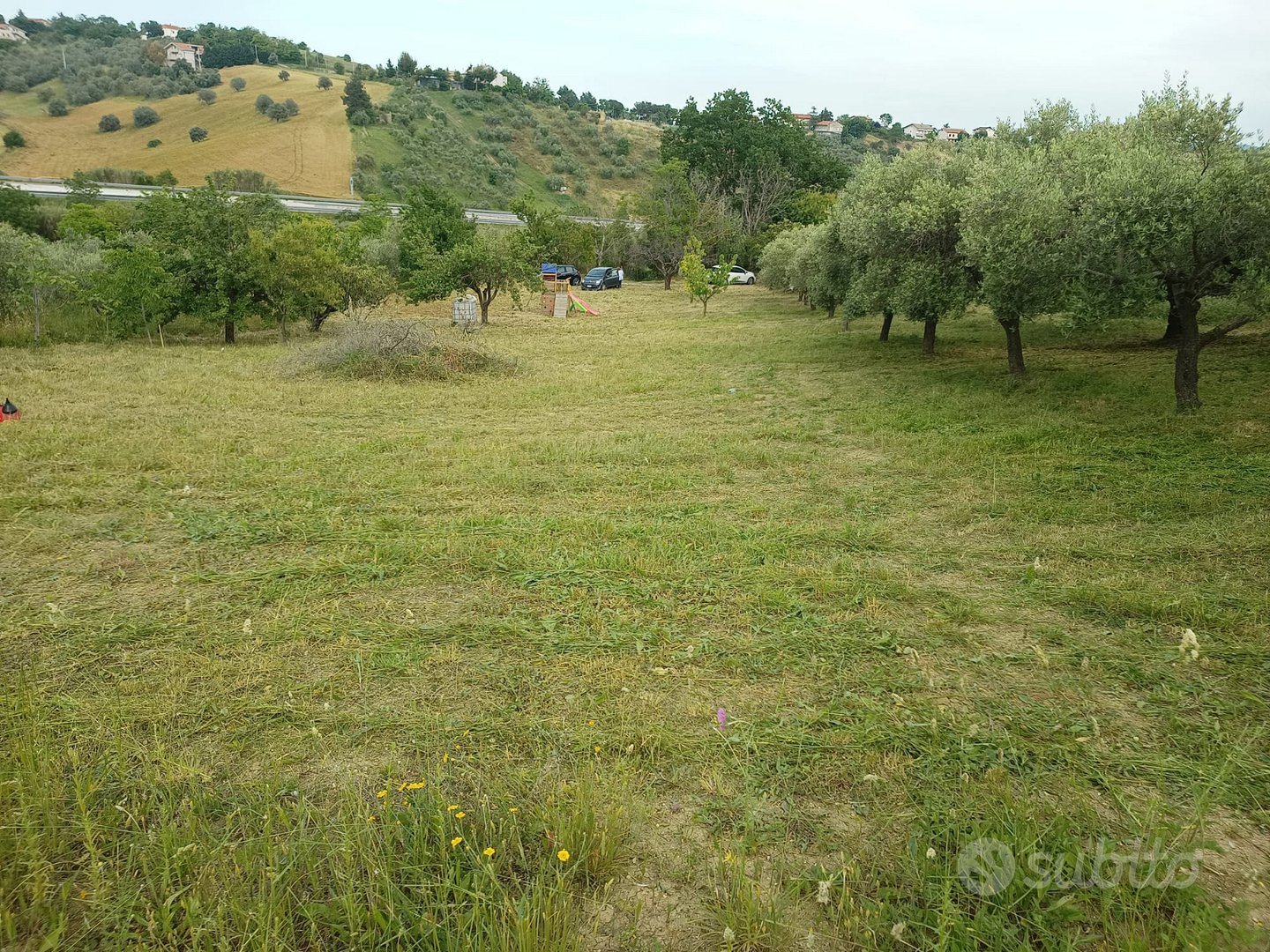 Terreno Agricolo Villa Santa Maria di Spoltore - Vista 4