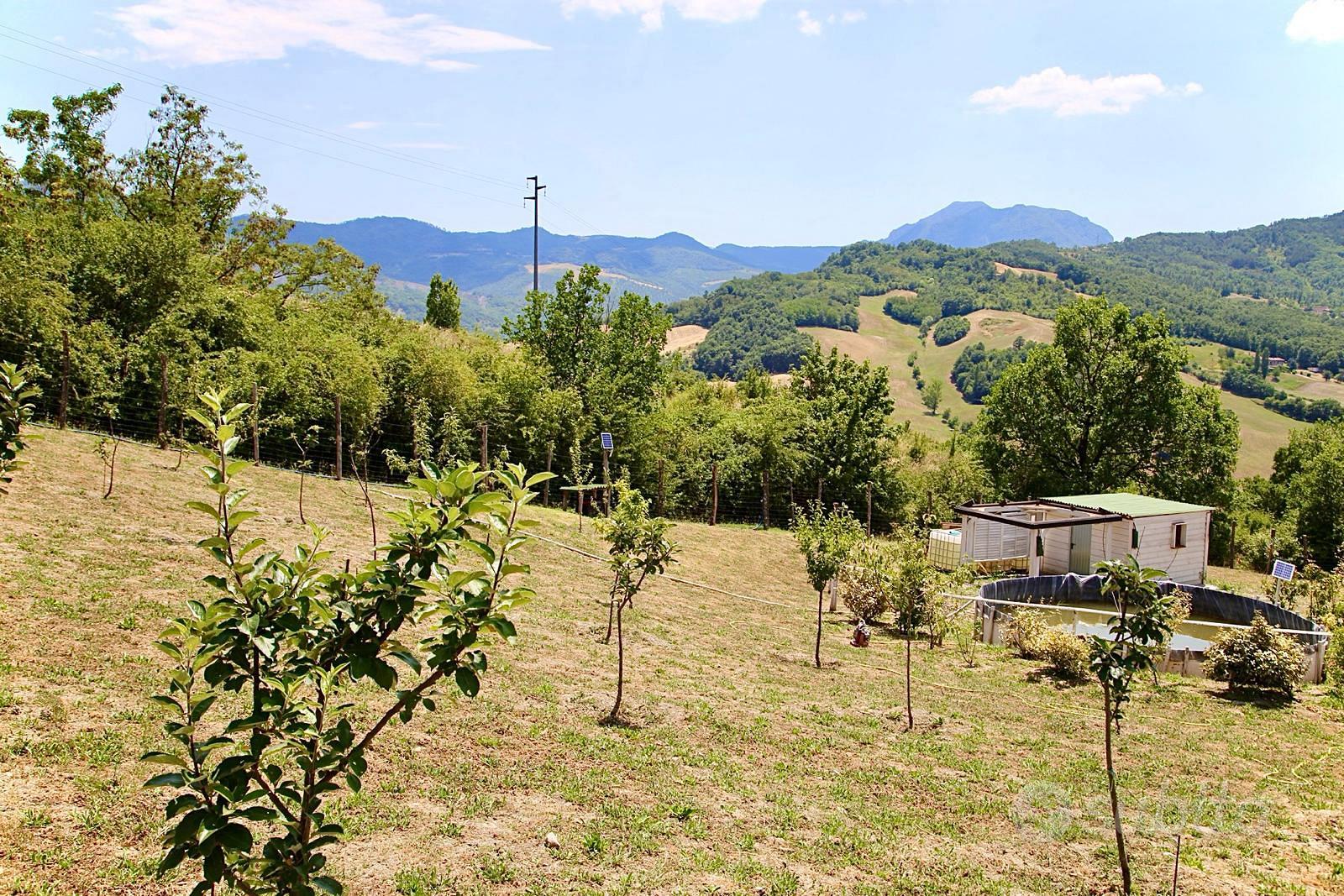 Terreno agricolo - Vista 5