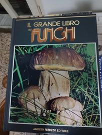 libri x funghi 