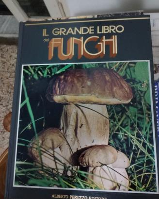 libri x funghi 