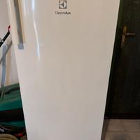 Freezer verticale
