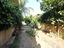 Immagine 28