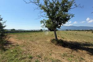 TER. AGRICOLO A ANAGNI