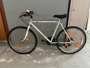 Bicicletta da uomo