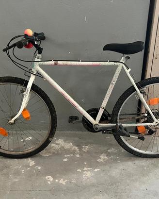 Bicicletta da uomo