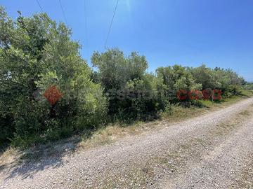 Terreno Agricolo Minturno [Cod. rif V456VRG]