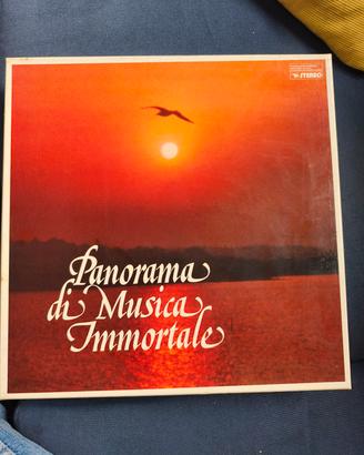 9 dischi vinile musica classica con cofanetto 