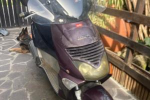 Aprilia Leonardo