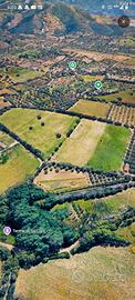 terreno agricolo 