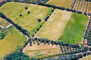 terreno agricolo 